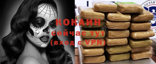 шишки Нефтегорск