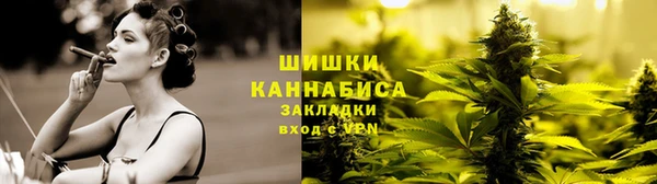 шишки Нефтегорск