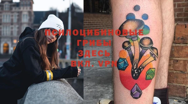шишки Нефтегорск