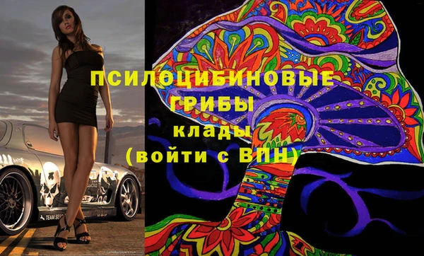 шишки Нефтегорск