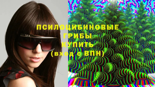шишки Нефтегорск