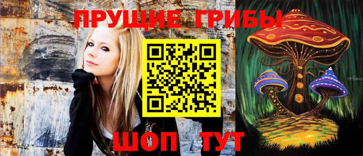 Галлюциногенные грибы Cubensis Спасск-Дальний