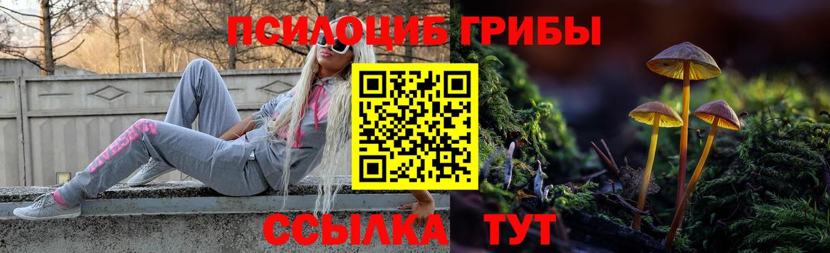 Галлюциногенные грибы мицелий  Вход с VPN  Псилоцибиновые грибы мицелий  Спасск-Дальний 